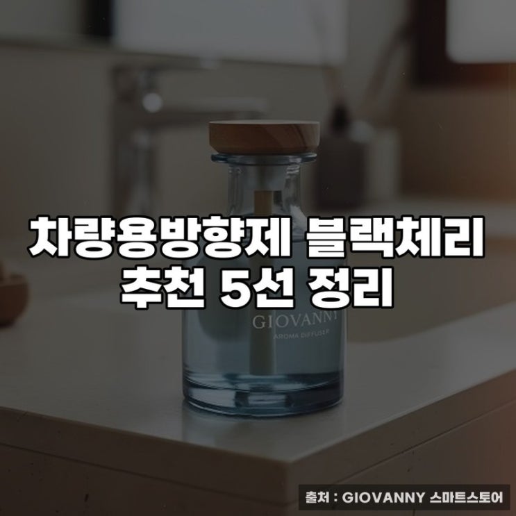  차량용방향제 블랙체리 추천 5선 정리