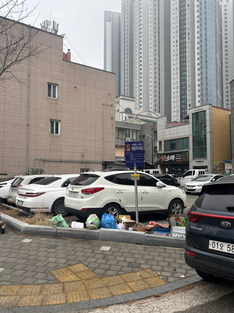 바다랑 사진 3