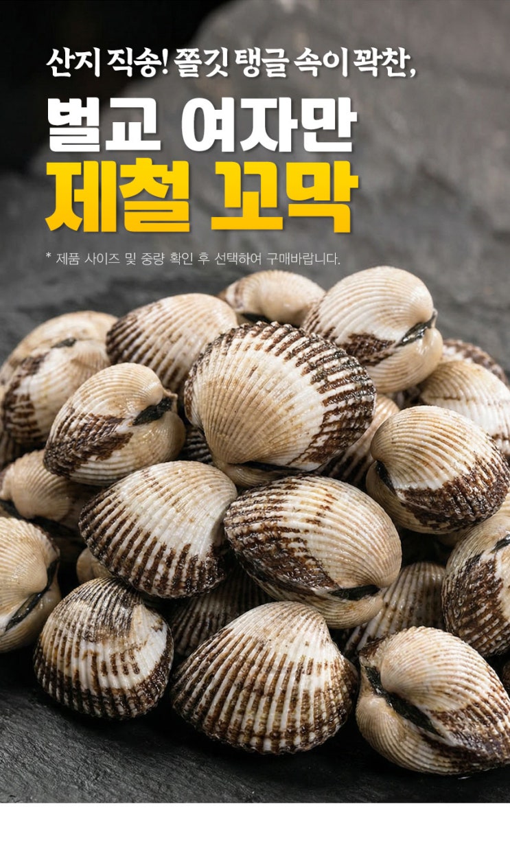  제철 맞은 꼬막, 왜 '벌교 여자만'일까? 사이즈 고르는 법부터 레시피까지