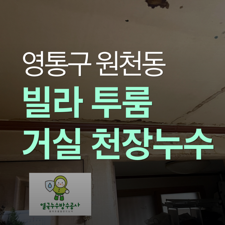  수원 빌라누수 투룸 거실 천장 도배지 몰딩 벽체 다 젖고 곰팡이까지