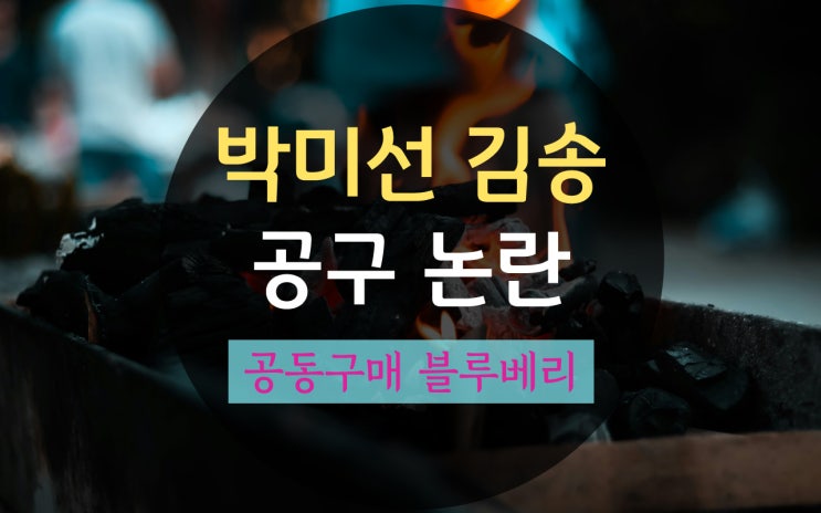 <b>박미선</b> 공구 논란 김송, <b>암투병</b> 공동구매 블루베리 프로필