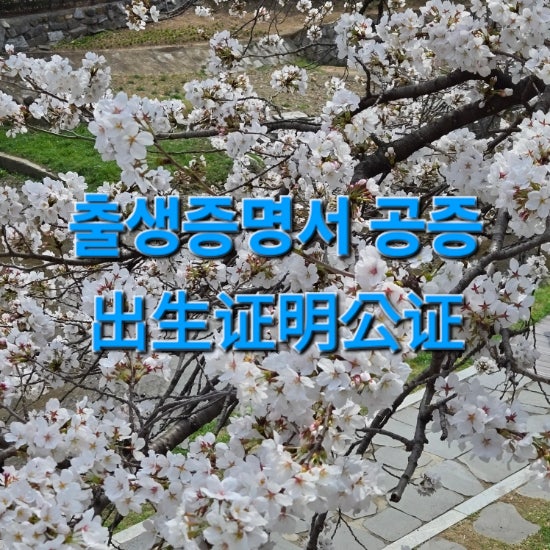  출생증명서 번역공증 진행 사례