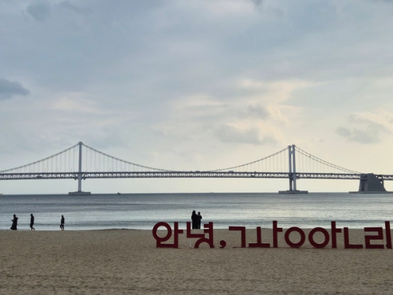 부산 광안리 소품샵 투어,독립서점,북카페 총정리 25년 기준