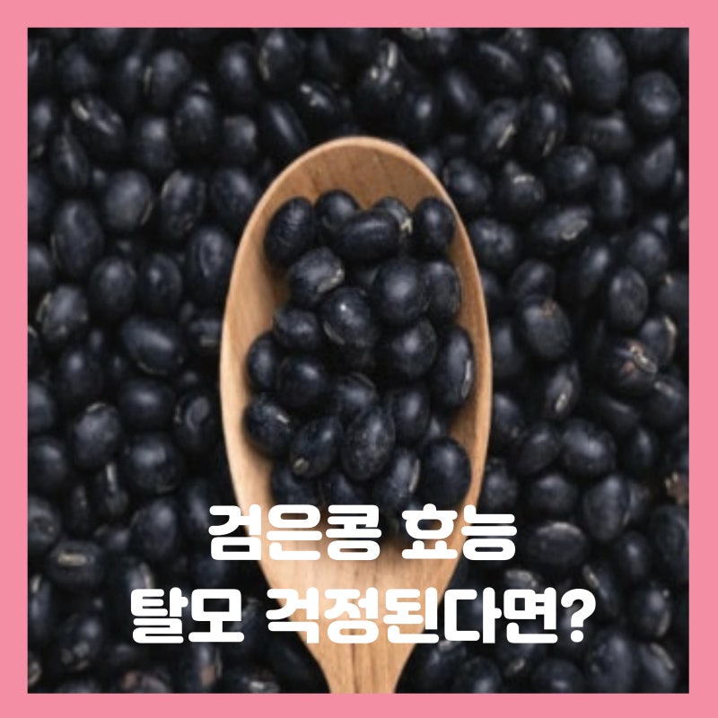 검은콩 효능 검은콩두유 탈모 효과 보려면?