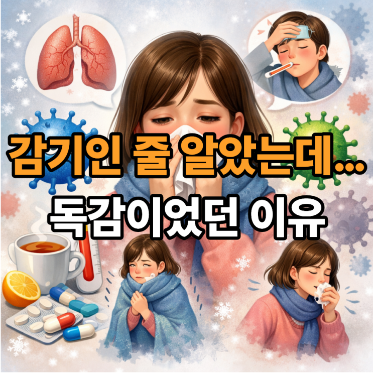  B형 독감 증상이 왜 가볍게 시작될까? 감기와 헷갈리는 이유