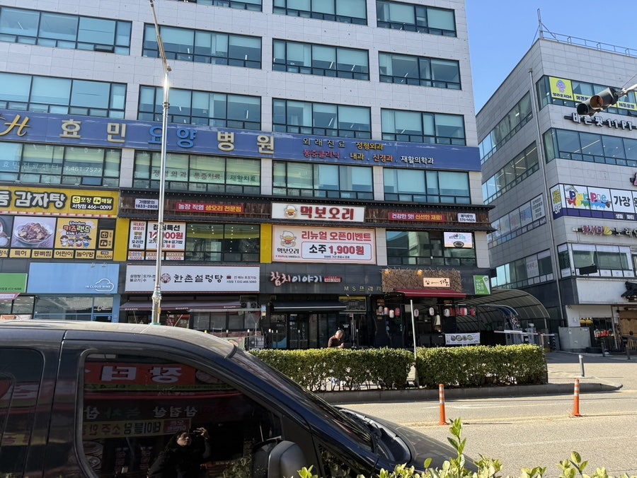 먹보오리 사진 1