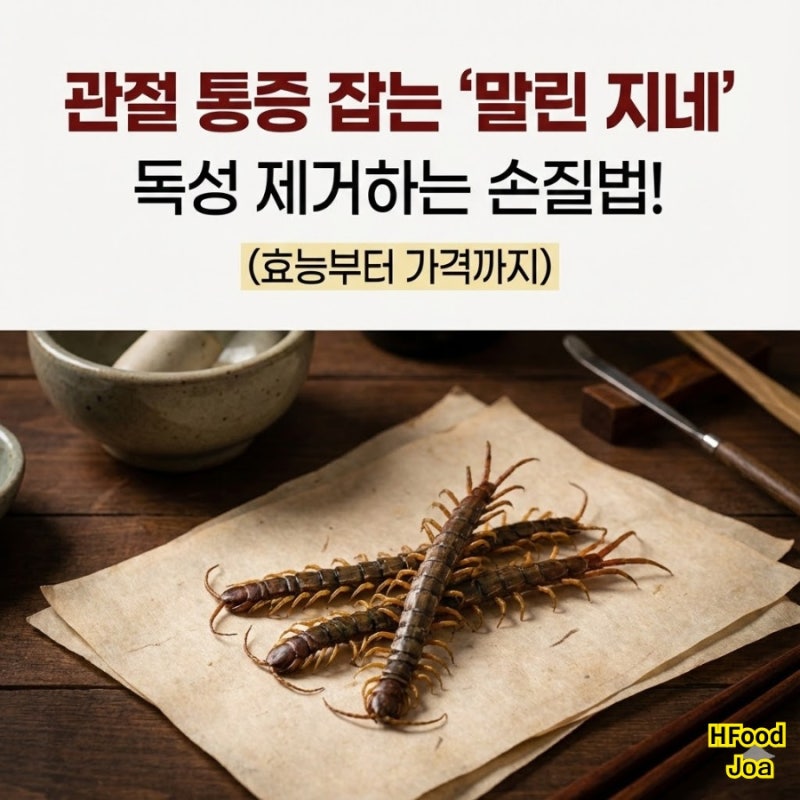 말린 지네(오공) 효능, 관절통 잡는 민간요법? 지네독 독성 제거하는 손질법 & 가격 팩트체크