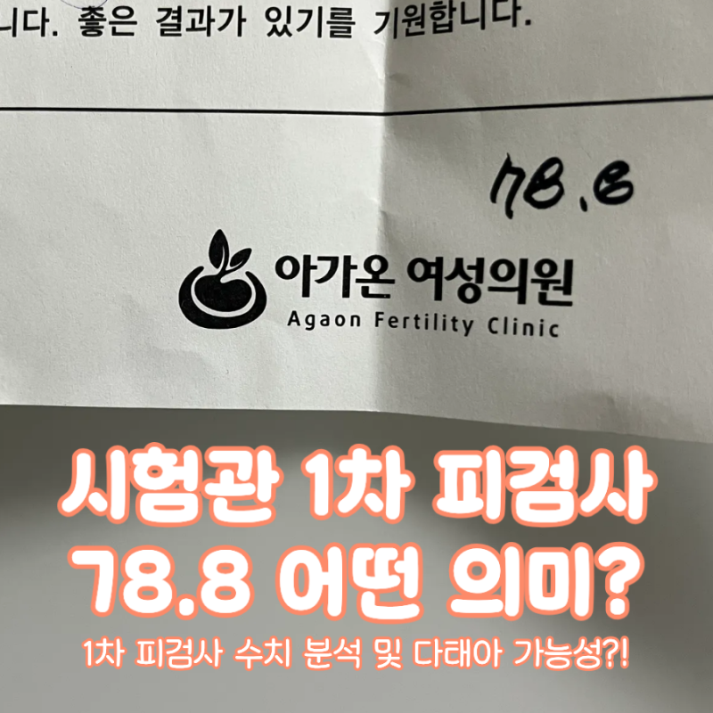 시험관 1차 피검사 수치 해석 낮고 높은 이유 더블링과 다태아 가능성까지