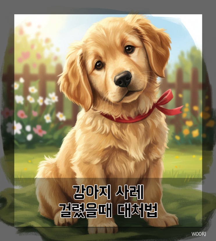  강아지 사레 걸렸을때 대처법 응급처치