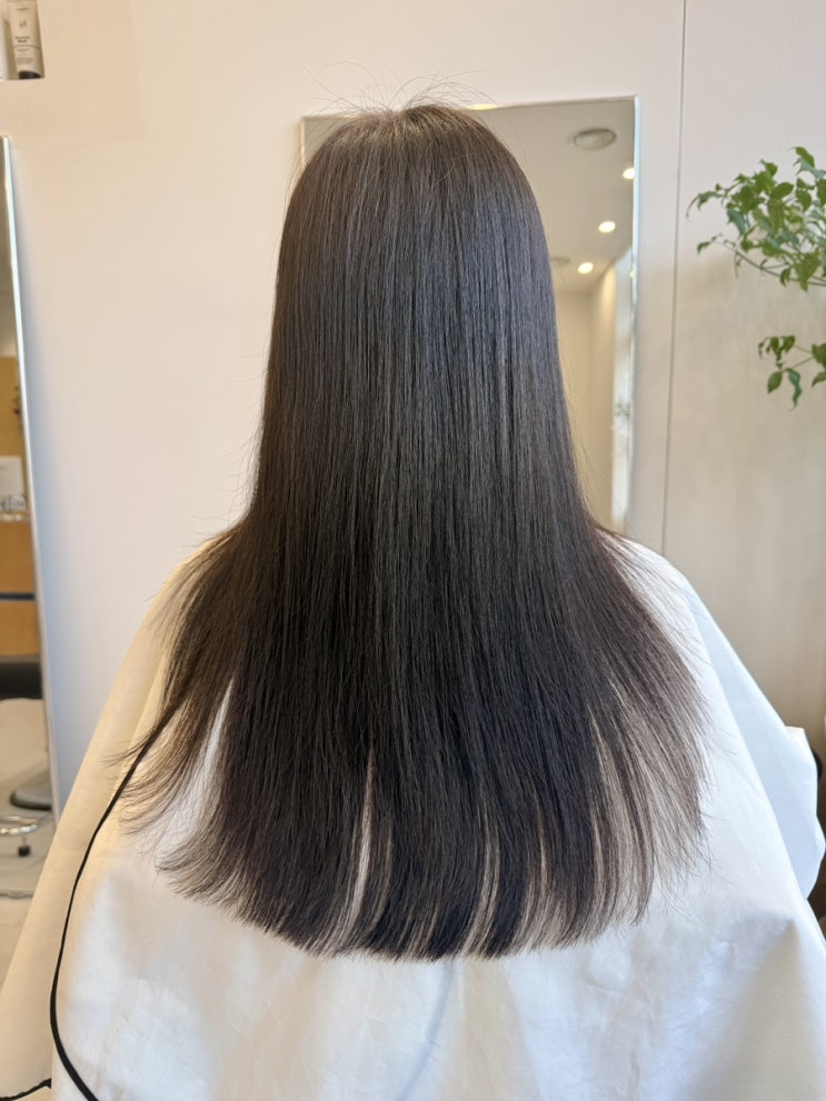  합정 커트잘하는곳 합정역 미용실 헤어살롱디 합정메세나폴리스점 모발클리닉 커트 후기