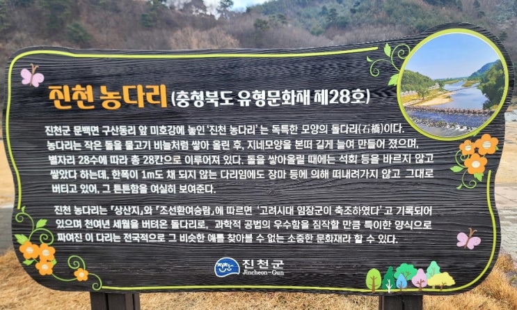  서울 근교 1시간 나들이 5인 가족 무료입장 진천 농다리  미르309 출렁다리 가성비 여행기