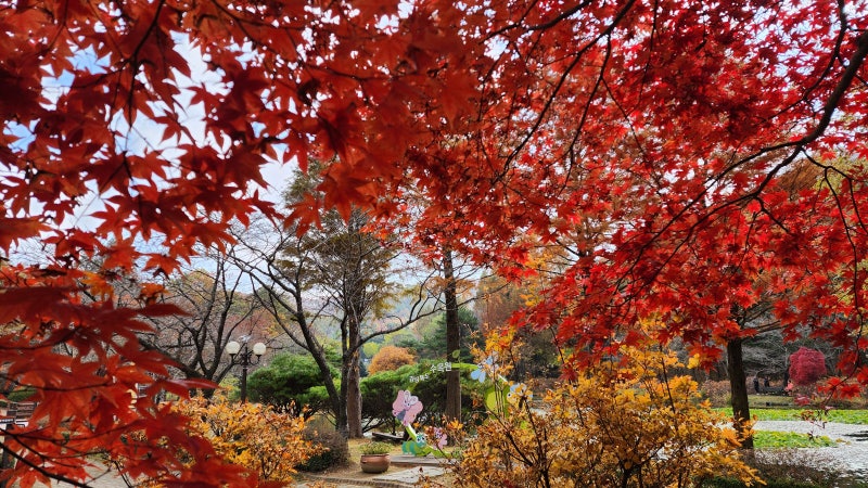 포항 경상북도수목원의 가을 풍경