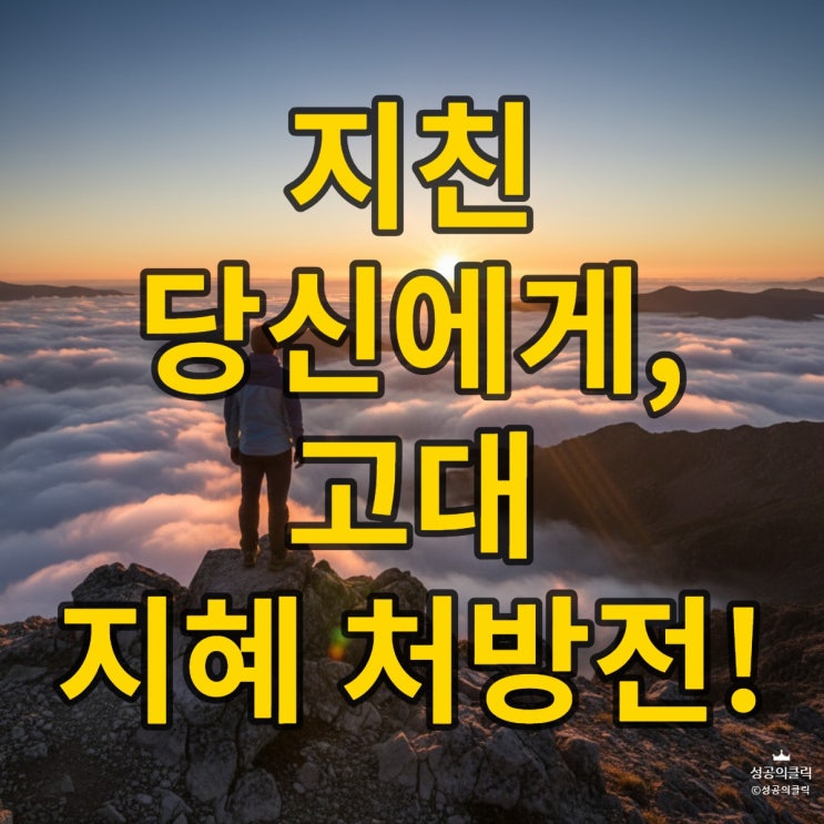  마음이 지칠 때, 고대 철학자에게 배우는 회복력 비밀 5가지