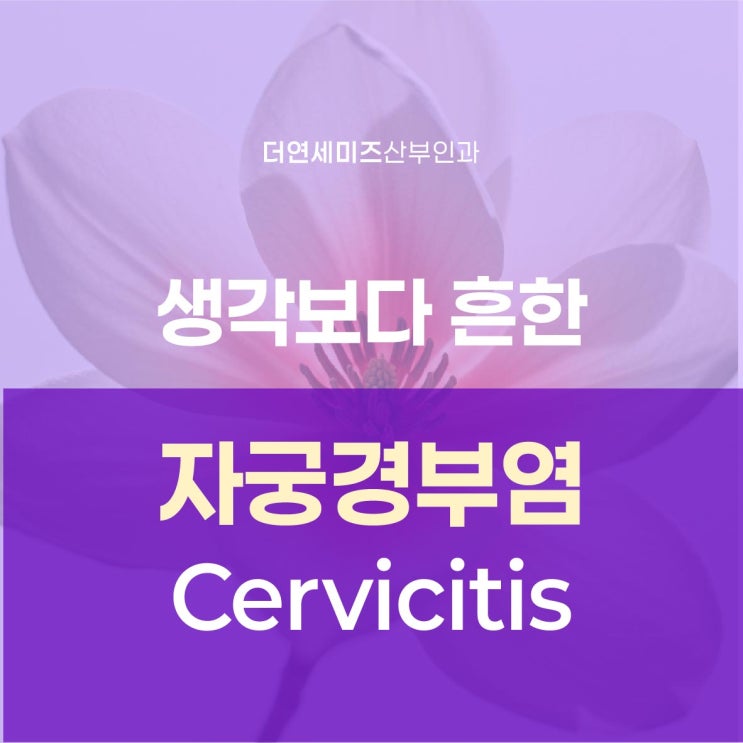  대치동여의사산부인과, 자궁경부염 특별한 증상이 없더라도