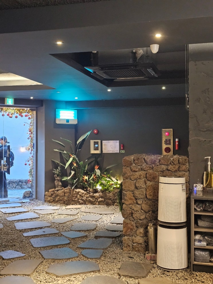  [동성로 카페] 대구 속의 작은 제주도, '랑데자뷰' 인생샷 포토존 완전 정복