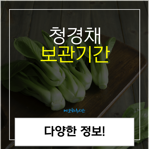 청경채 보관방법 냉장 냉동 보관기간은?
