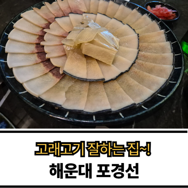 포경선 사진 1