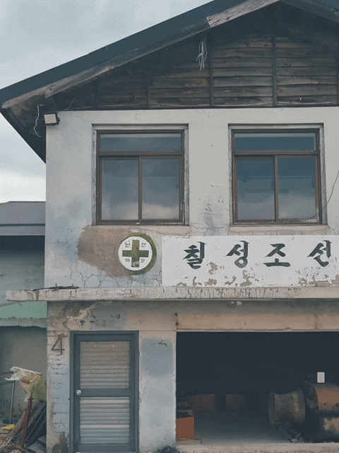  칠성조선소 속초 애견동반 카페 소금빵 아이스크림