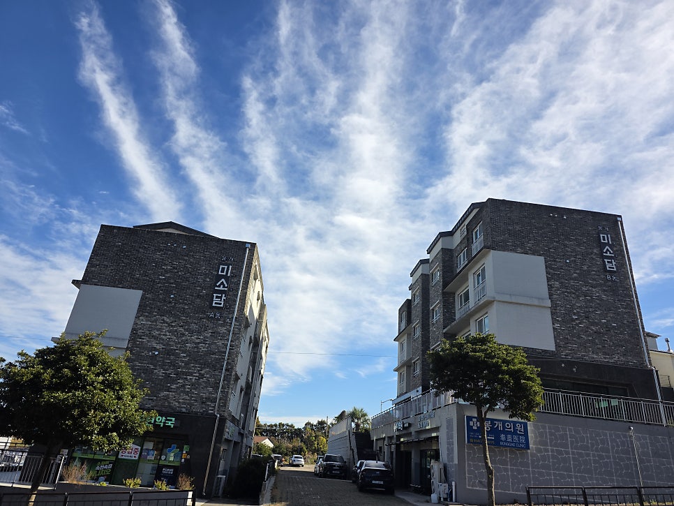 미소담 사진 3