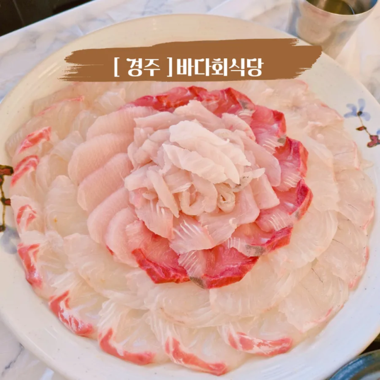  경주 감포 바다 보이는 횟집 추천 바다회식당 방어 포함 자연산 모듬회 가족외식