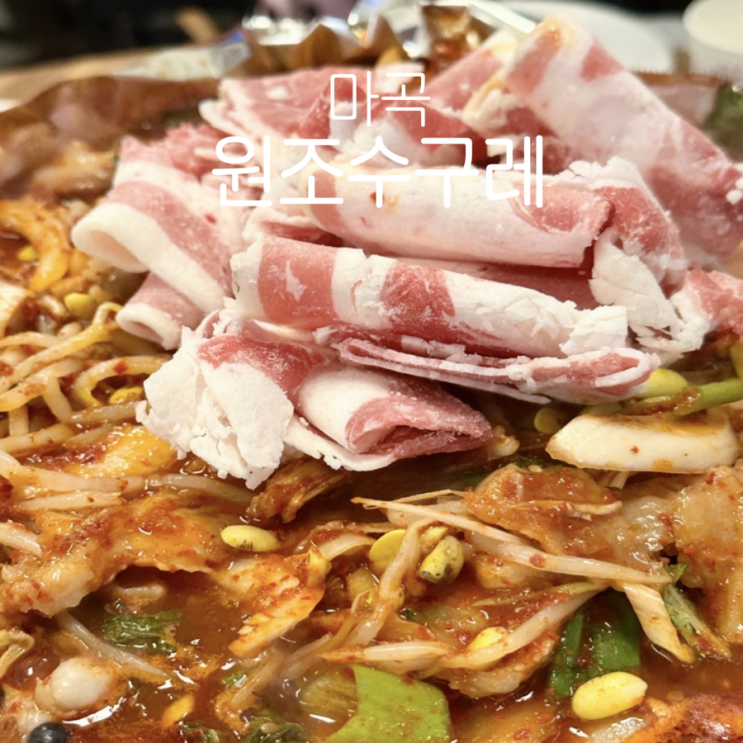  [원조수구레] 수구레 마곡 맛집 내돈내산 찐 후기