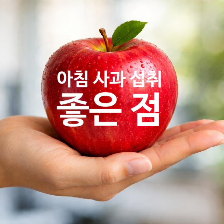  탄현동 헬스장 아침 사과 습관, 몸이 달라지는 이유