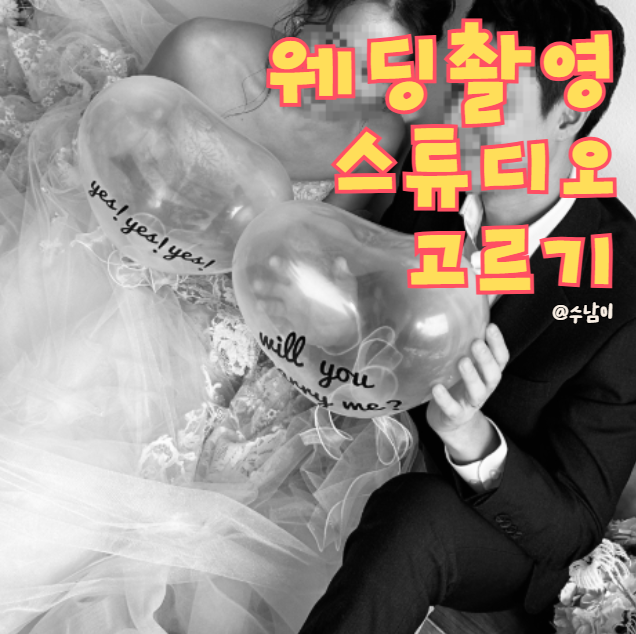  웨딩촬영 스튜디오 정하기! 플래너 없이 정했어요!