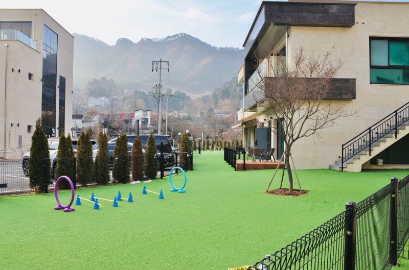사진 9