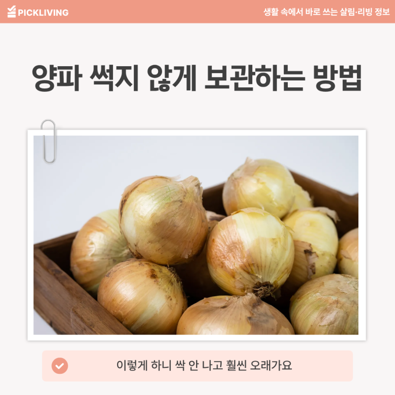양파 보관법 이렇게 하세요, 썩지 않게 오래 두는 방법 총정리