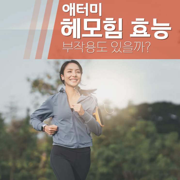  헤모힘 효능 부작용 성분 정리!