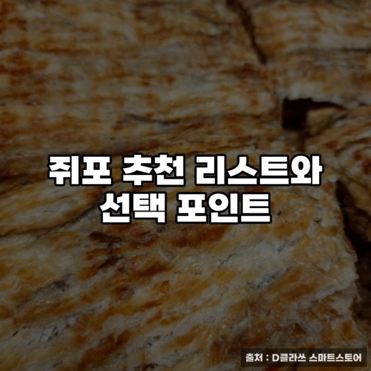  쥐포 추천 리스트와 선택 포인트