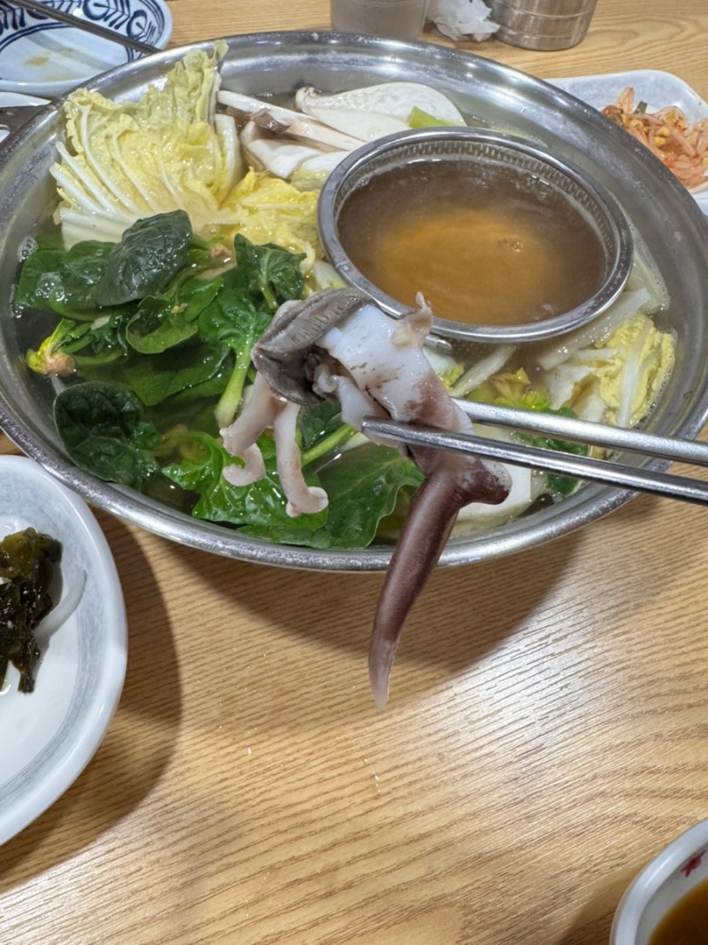 여수 오동도ㅣ대치동 맛집 - 새조개 샤브샤브의 근본을 보여주는 곳