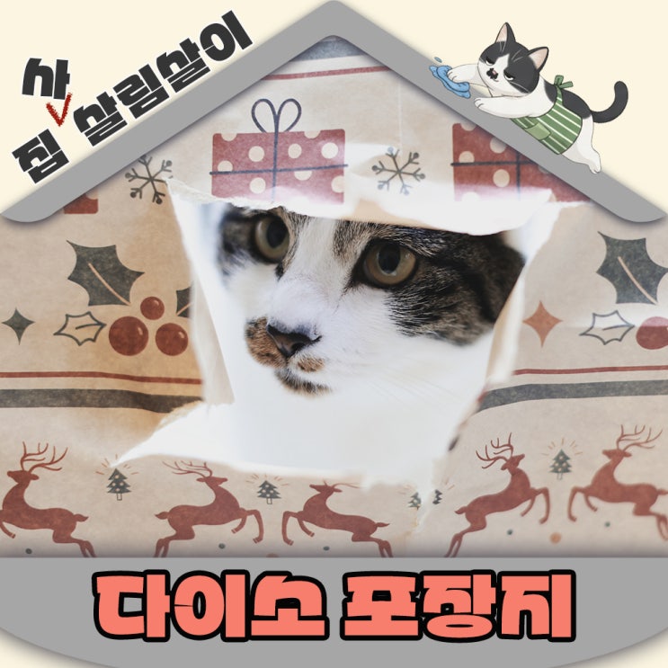  다이소 크리스마스 포장지 재고현황 확인 - 고양이포장지샷 준비물