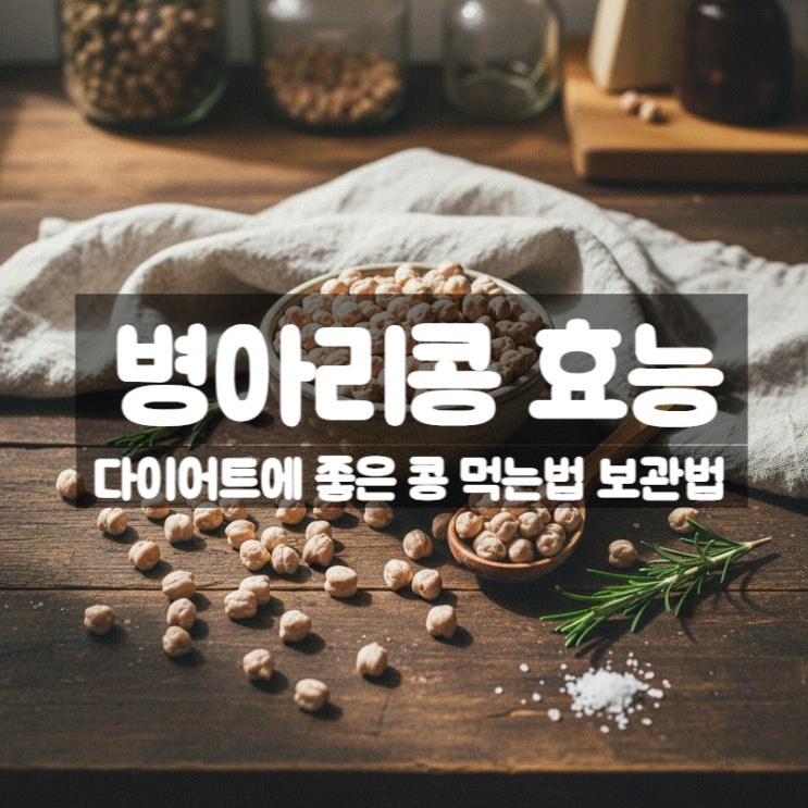  병아리콩 효능 부작용 먹는법 – 다이어트 콩의 정석이라 불리는 이유