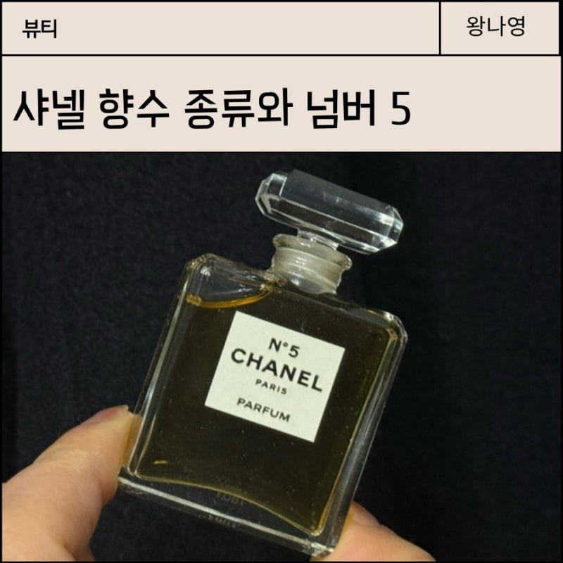 샤넬 향수 종류와 넘버5 잔향 지속력