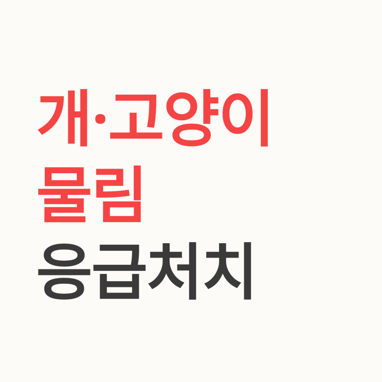  개, 고양이 물림 응급처치법 (feat. 광견병, 파상풍 주사)