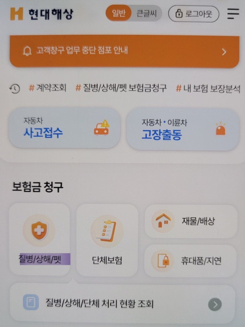 현대해상 반려견 무배당 굿앤굿우리펫보험 청구 방법 후기
