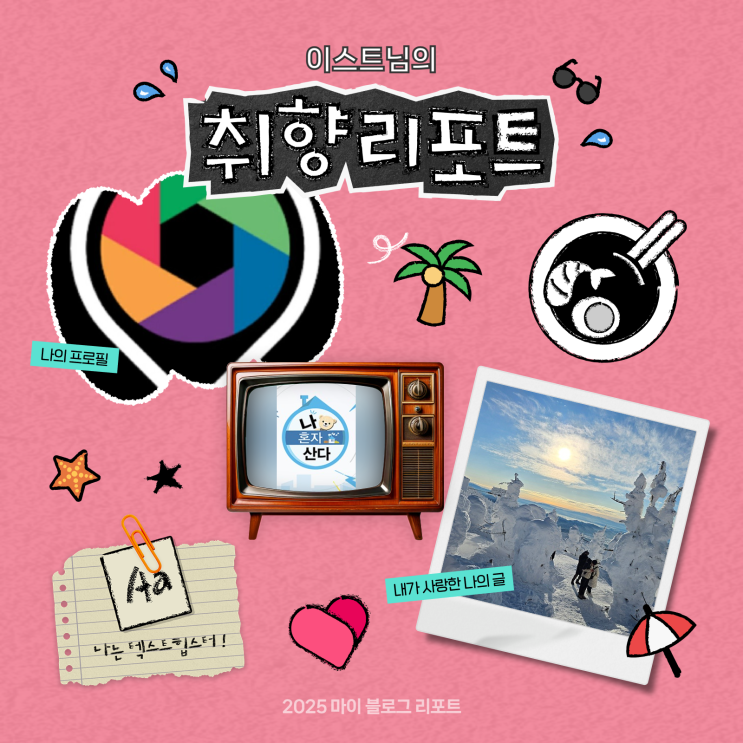  [2025 마이 블로그 리포트] 데이터로 채워보는 내 블로그 취향 리포트