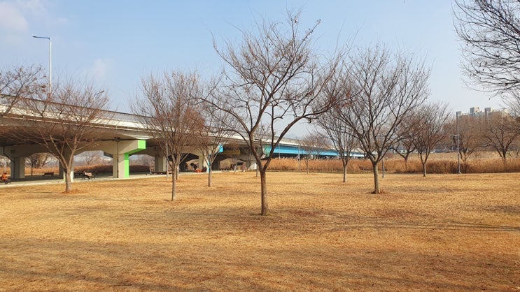  비상금 통장 안 들키는 법보다 중요한 건 현명하게 관리하는 게 우선