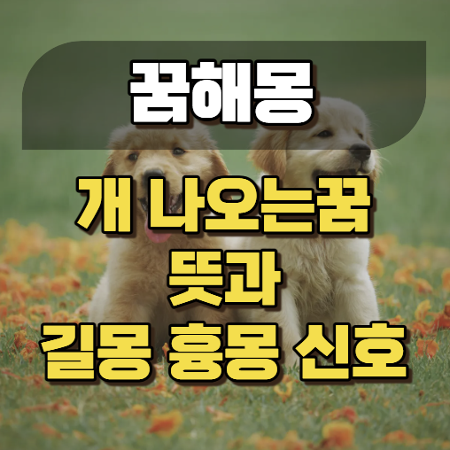 개나오는꿈 뜻과 길몽 흉몽 신호