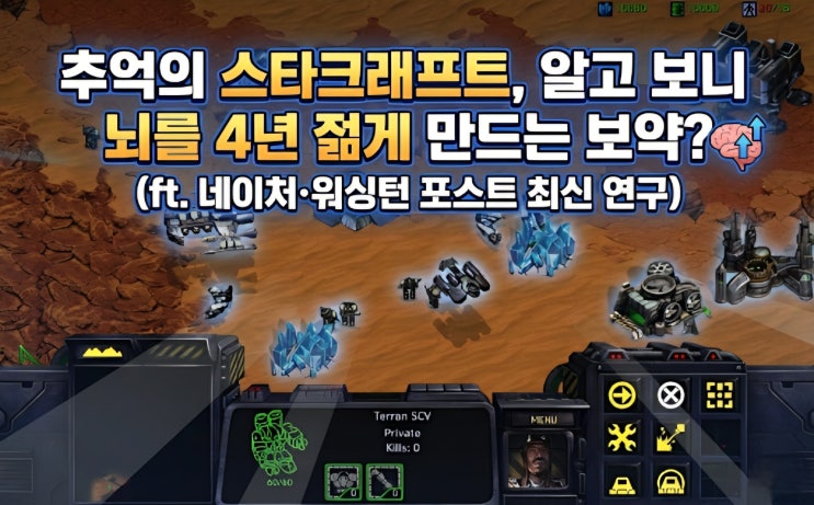  추억의 스타크래프트, 알고 보니 뇌를 4년 젊게 만드는 보약 (ft. 네이처·워싱턴 포스트 최신 연구)