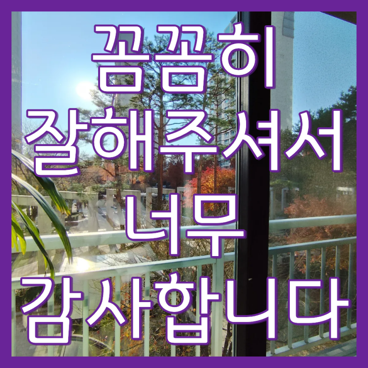  일산 베란다 창문 청소 업체 윈클에스를 소개합니다