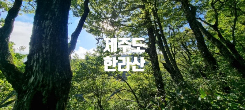 한라산 등반 방법 총정리｜코스 선택부터 예약 겨울 등반 요령까지