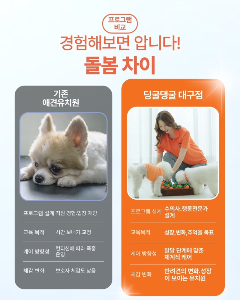 사진 8