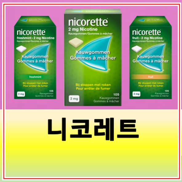니코레트껌 가격 효과 올바른 사용법(약국 금연껌)