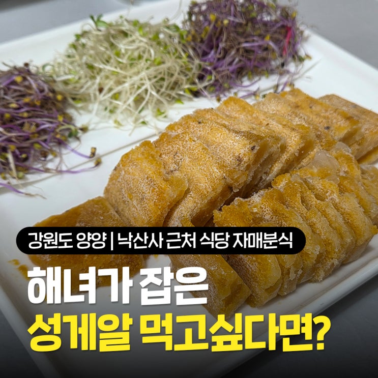  낙산사 근처 식당 추천 아는 사람만 아는 양양 숨은 맛집 자매분식 내돈내산 방문꿀팁