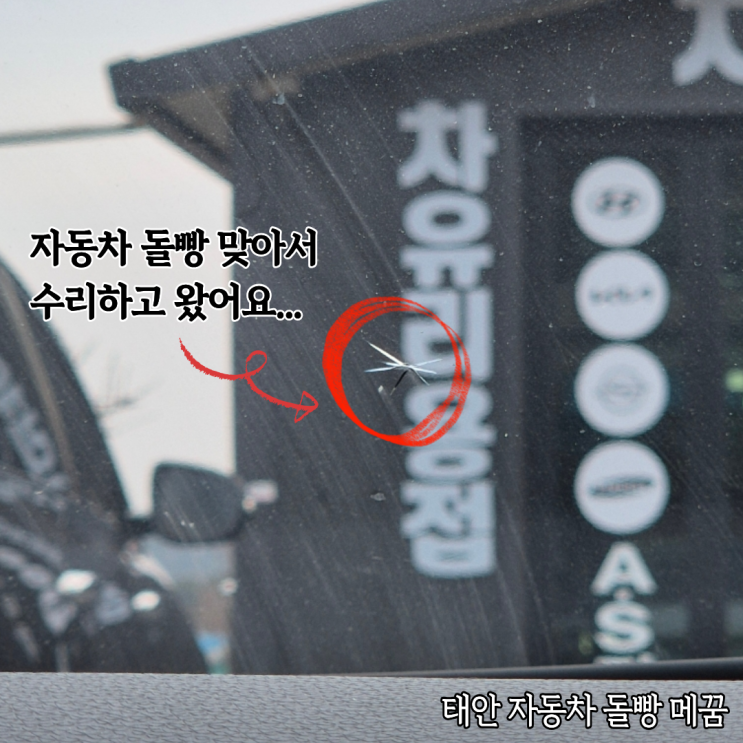  태안 자동차유리 차유리 돌빵 메꿈수리 내돈내산 후기