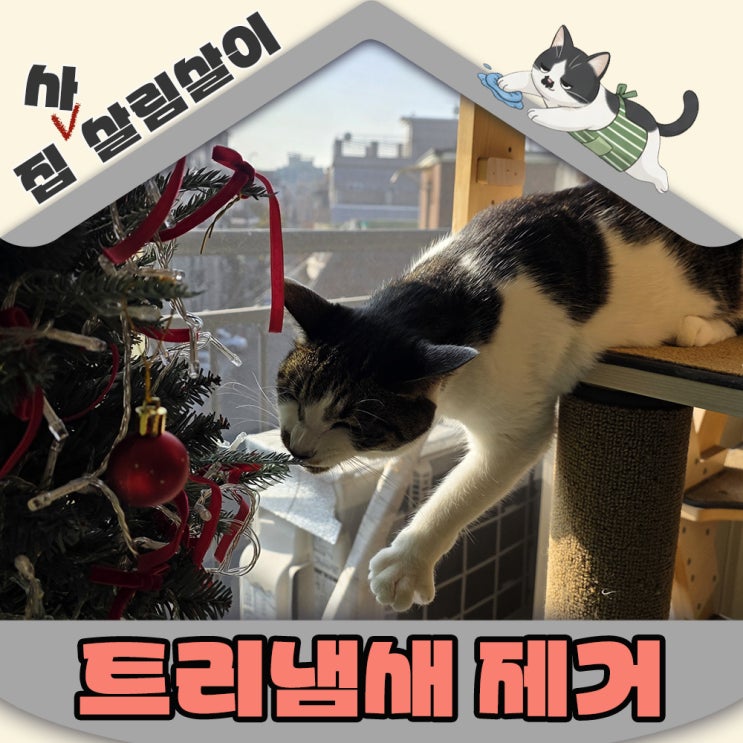  크리스마스 트리냄새 1년째 빠지지 않는 이유 보관방법부터 잘못됐어요. 현실적인 제거방법