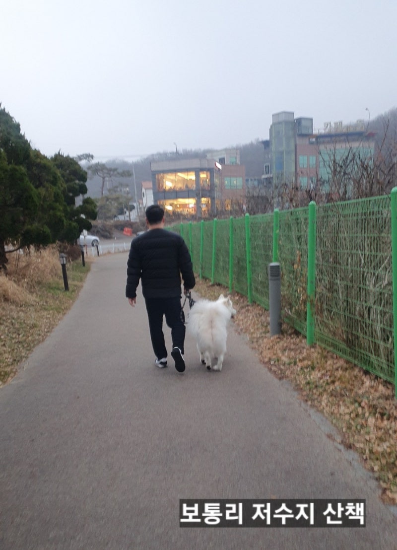 사진 2