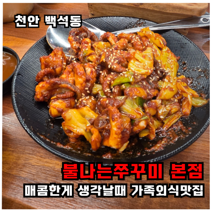  [천안 쭈꾸미 맛집]매콤한게 생각날때 불나는쭈꾸미 본점 가족외식 후기
